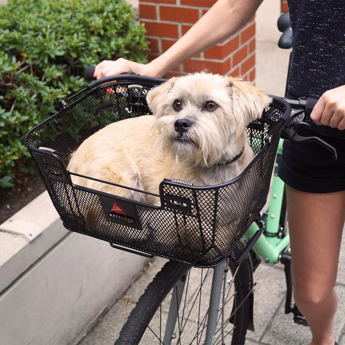 Axiom Premium Pet Basket